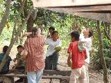 Coconut Drinking Contest