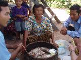 Grandmother and Family